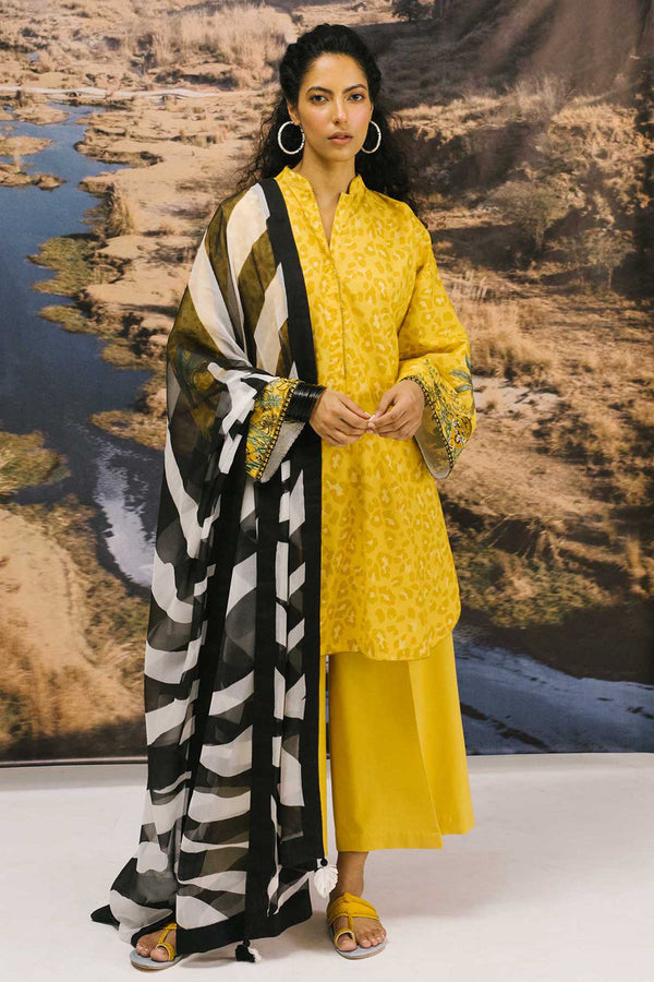 Buy Designer Bazar Online at Designer Bazar