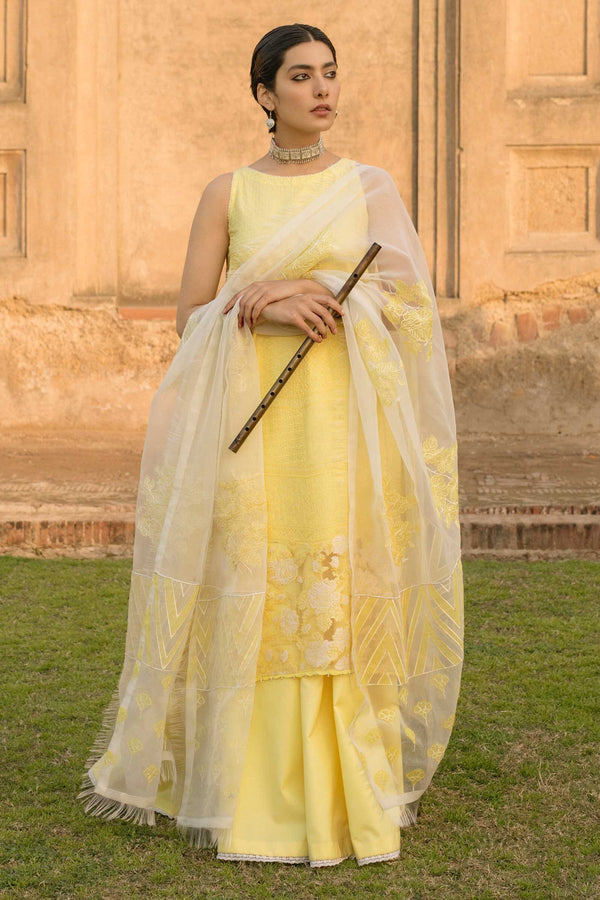 Buy Designer Bazar Online at designer Bazar