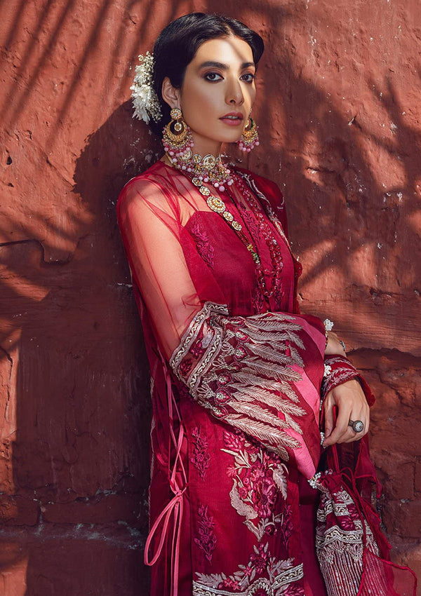 Dhaani