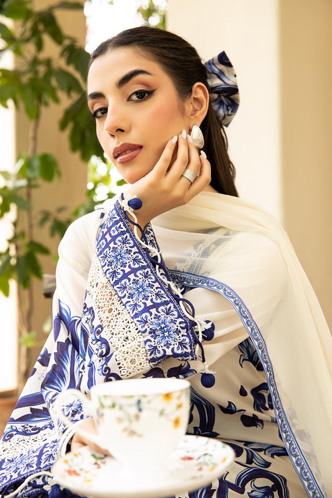 3 Pc Unstitched Embroidered Lawn Suit | MB-CUS25-904A