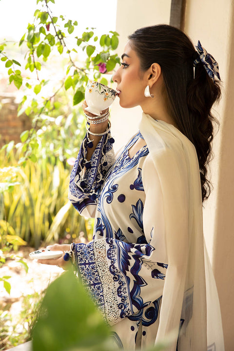 3 Pc Unstitched Embroidered Lawn Suit | MB-CUS25-904A