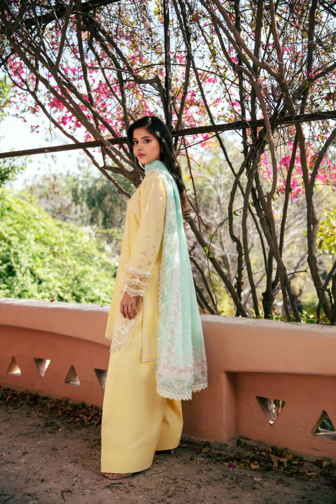 NOOR