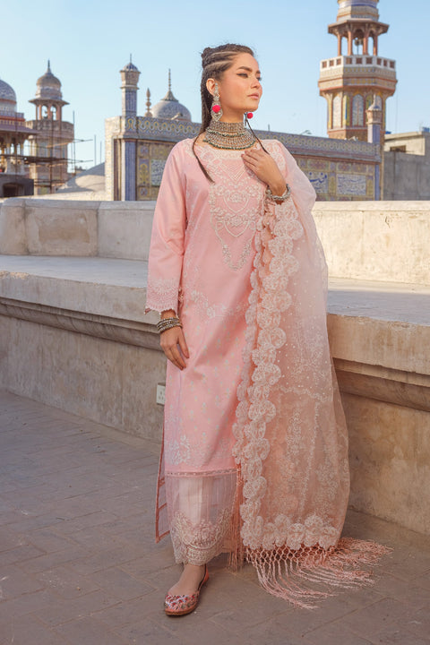 Gulaal (SKL-06)