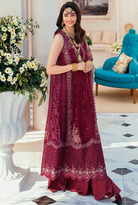 NOOR-CHIFNLSRKRI22-D6-MARLET
