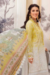 Eid-2-D11